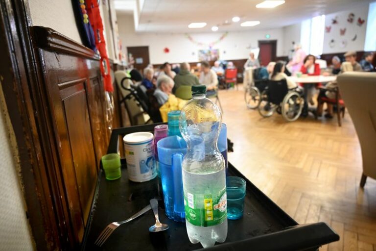 « ¡Es difícil hacerles beber agua! Frente al calor, la