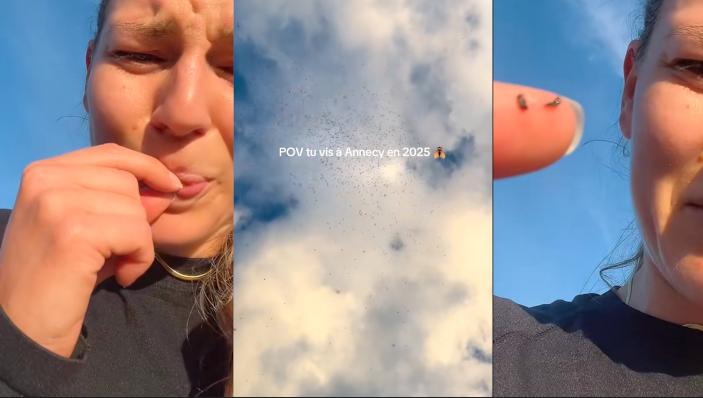 ¿De dónde vienen estas nubes de mosquitos de las que