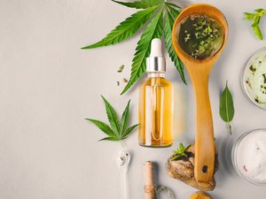CBD: explosión de intoxicaciones desde 2024, las autoridades alertan.