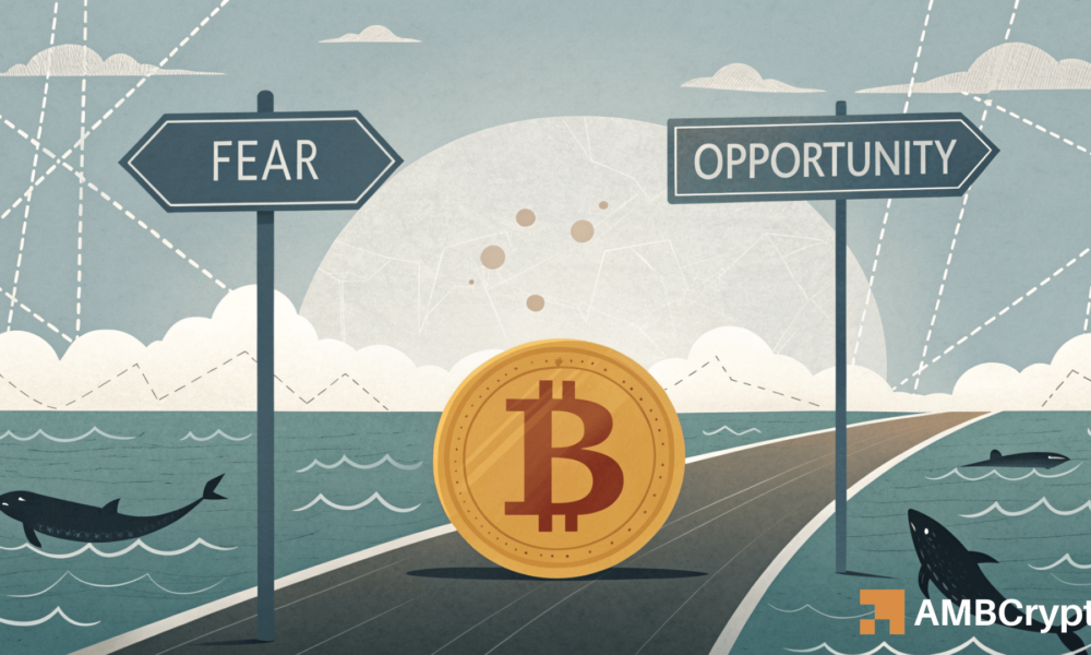 Comerciantes de Bitcoin, olviden el halving; ¡en cambio, observen ESTO