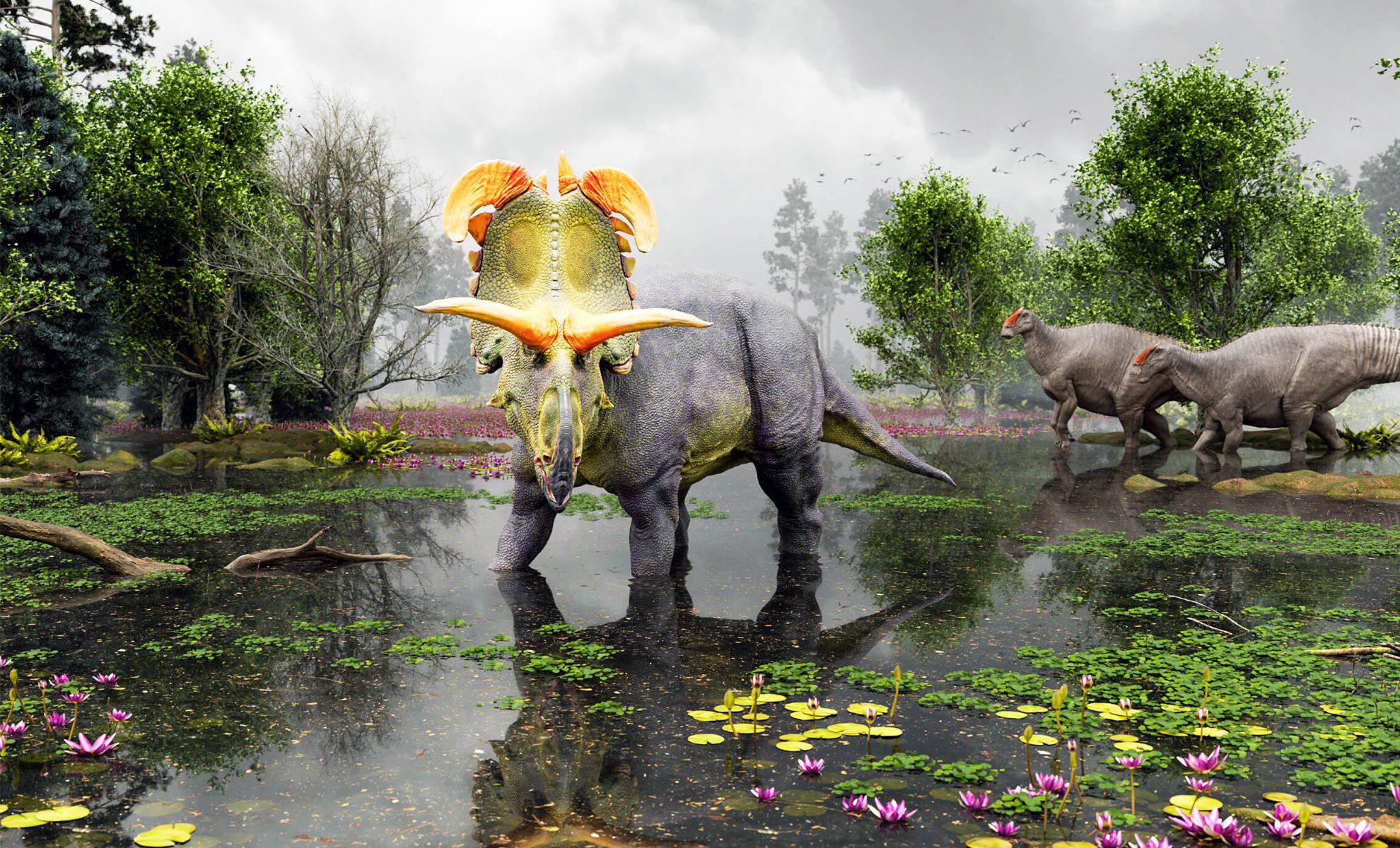 El dinosaurio con cuernos más grande jamás encontrado parece haber
