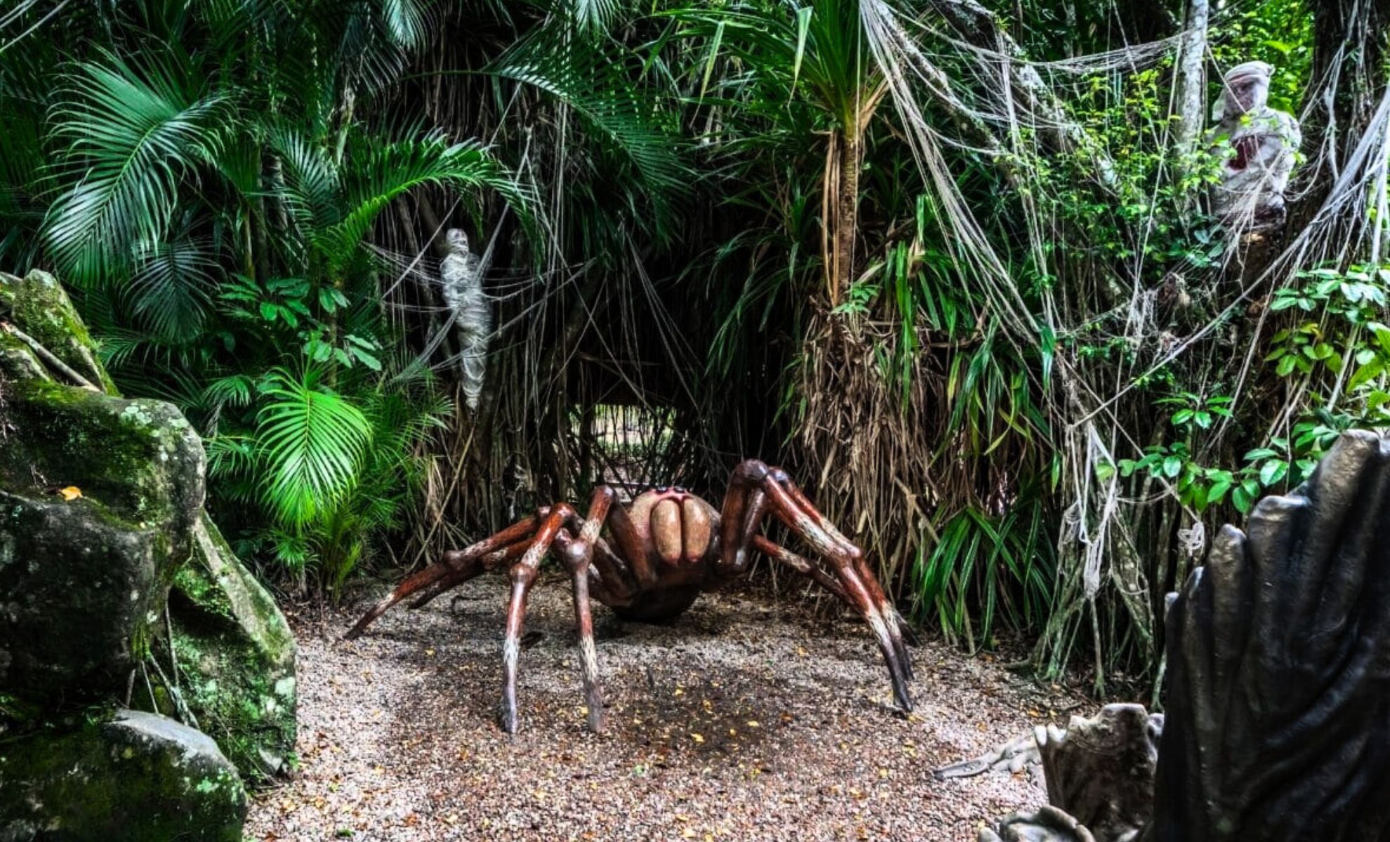 Enterrada durante 16 millones de años, científicos desentierran una araña