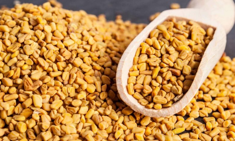 Esta semilla es rica en proteínas, magnesio y ayuda al