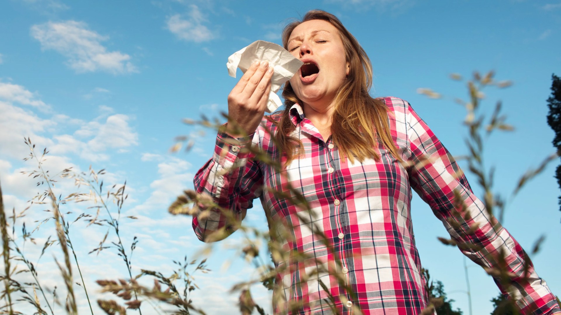 Las 7 mejores formas de combatir la fiebre del heno