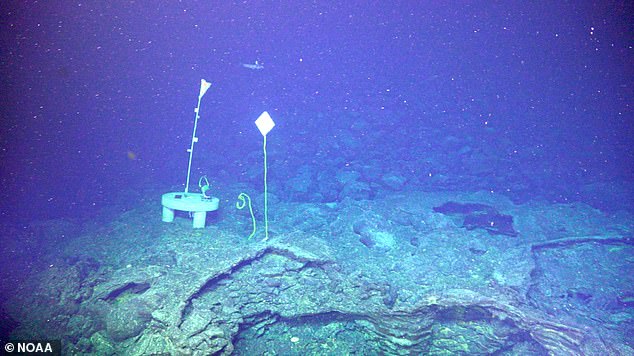 Los científicos advierten que un masivo volcán submarino está 'listo'