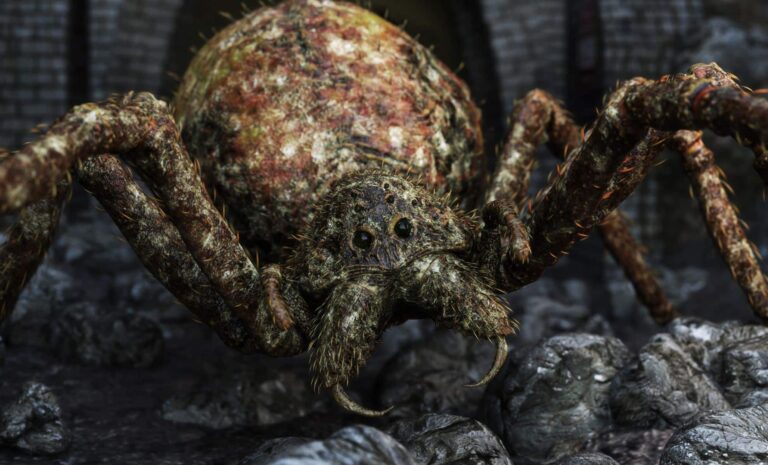 Los científicos descubren arañas gigantes que aterrorizaban la Tierra durante