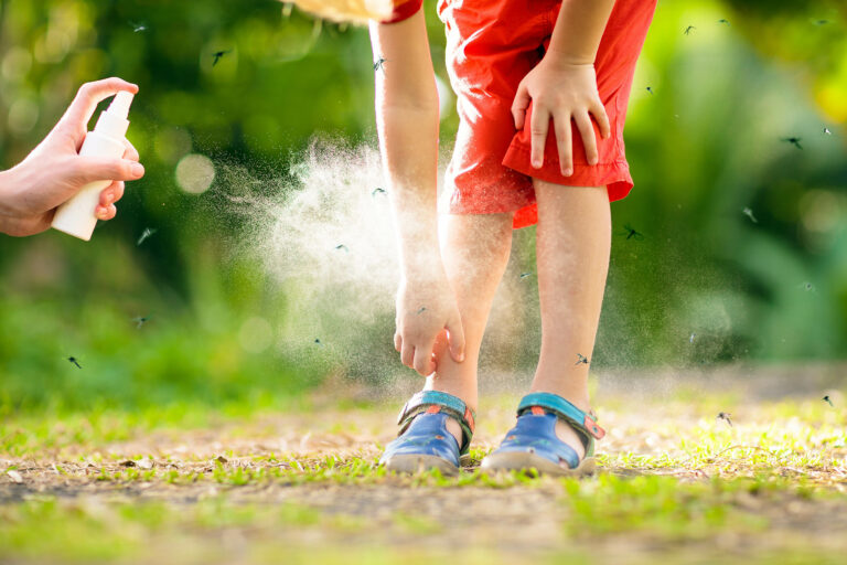 Los científicos descubren cómo los mosquitos engañan las trampas y