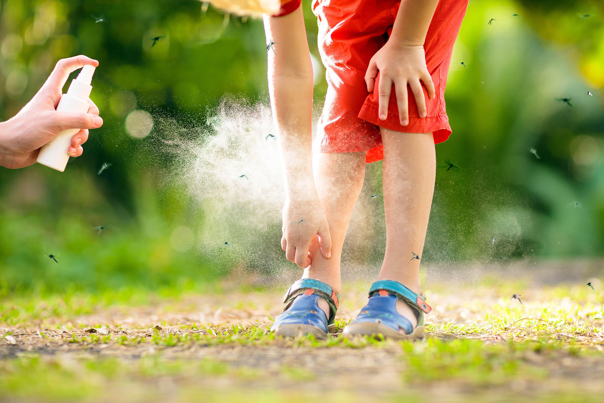 Los científicos descubren cómo los mosquitos engañan las trampas y