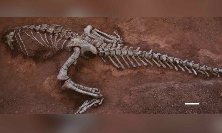 Los científicos descubren un gigante jurásico de 10 metros, el