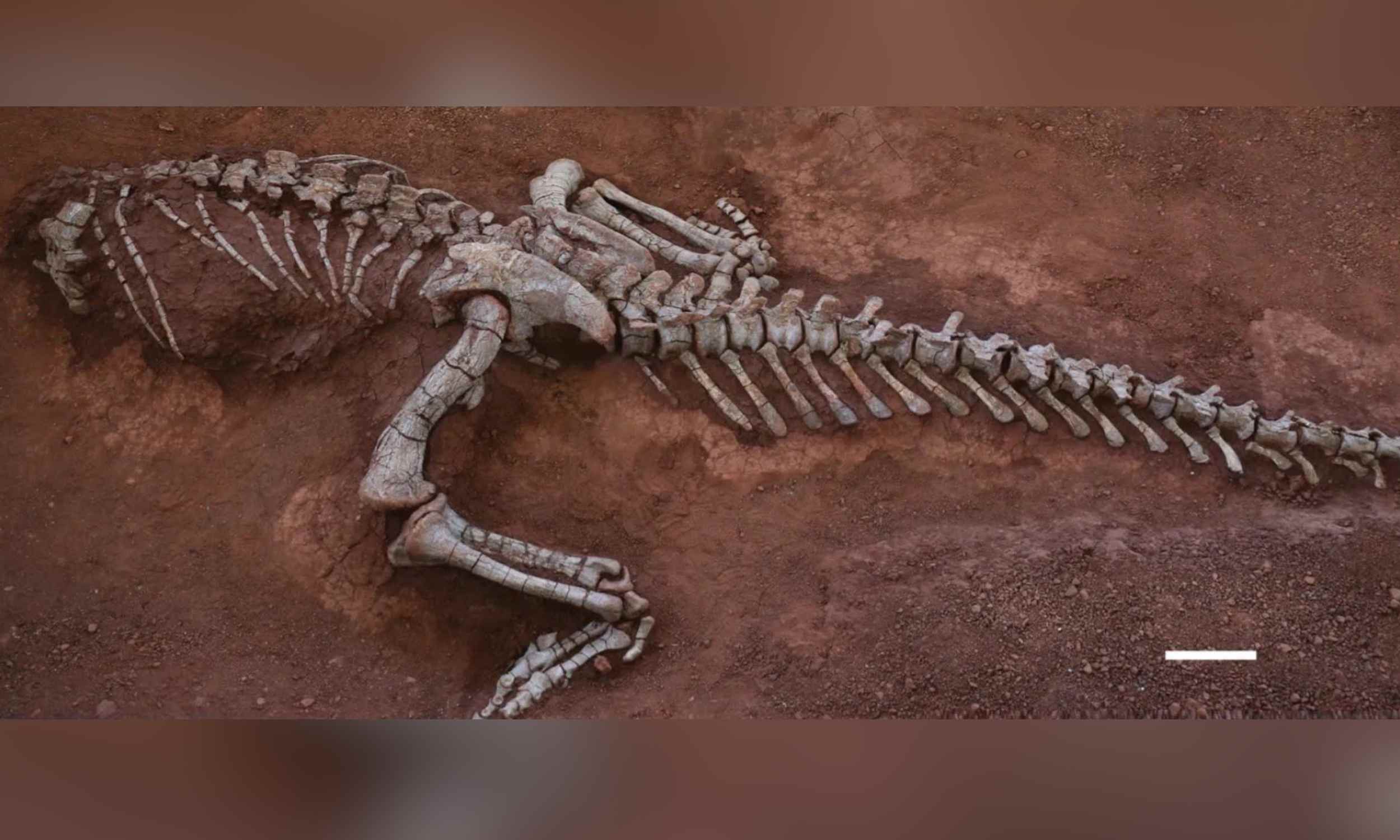 Los científicos descubren un gigante jurásico de 10 metros, el