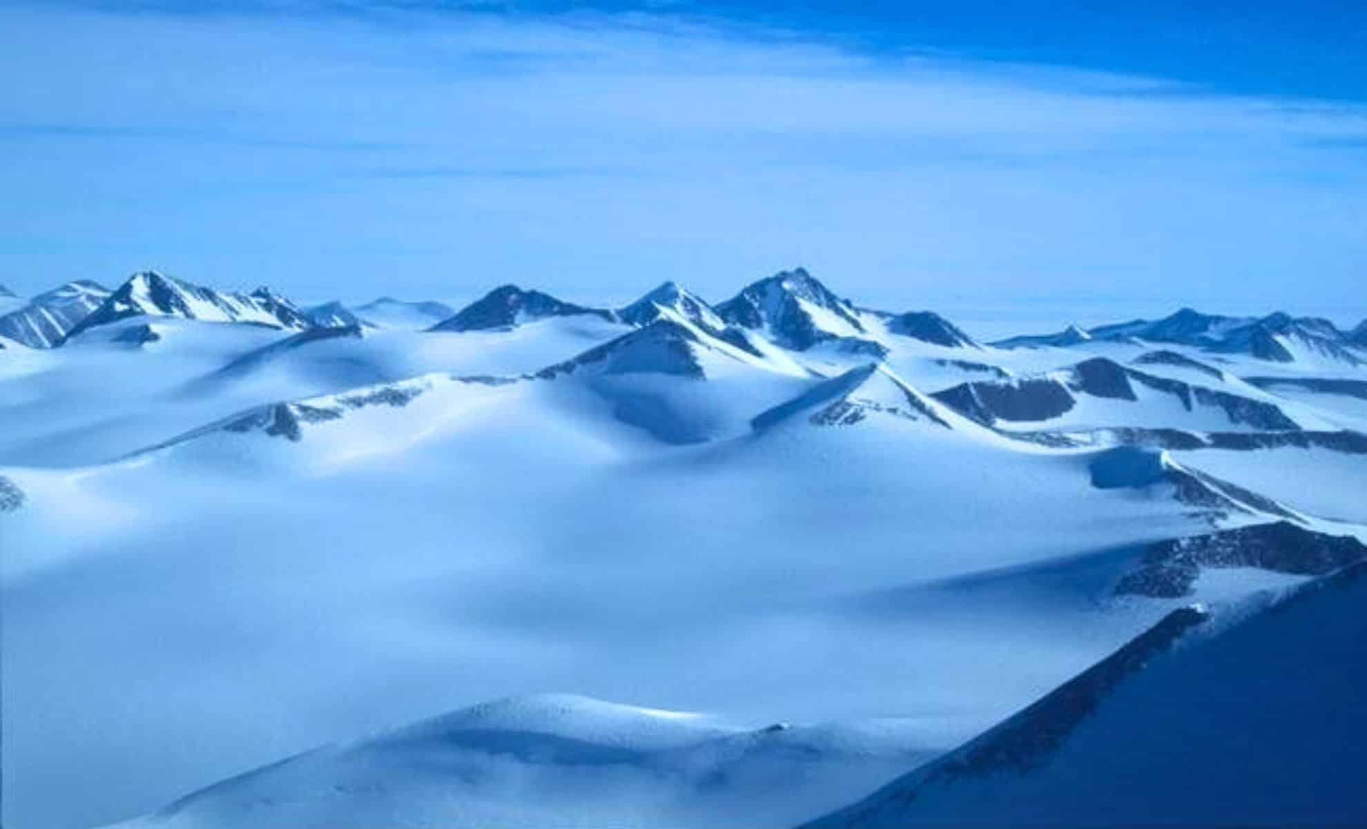 Los científicos descubren un mundo perdido oculto bajo el tapiz
