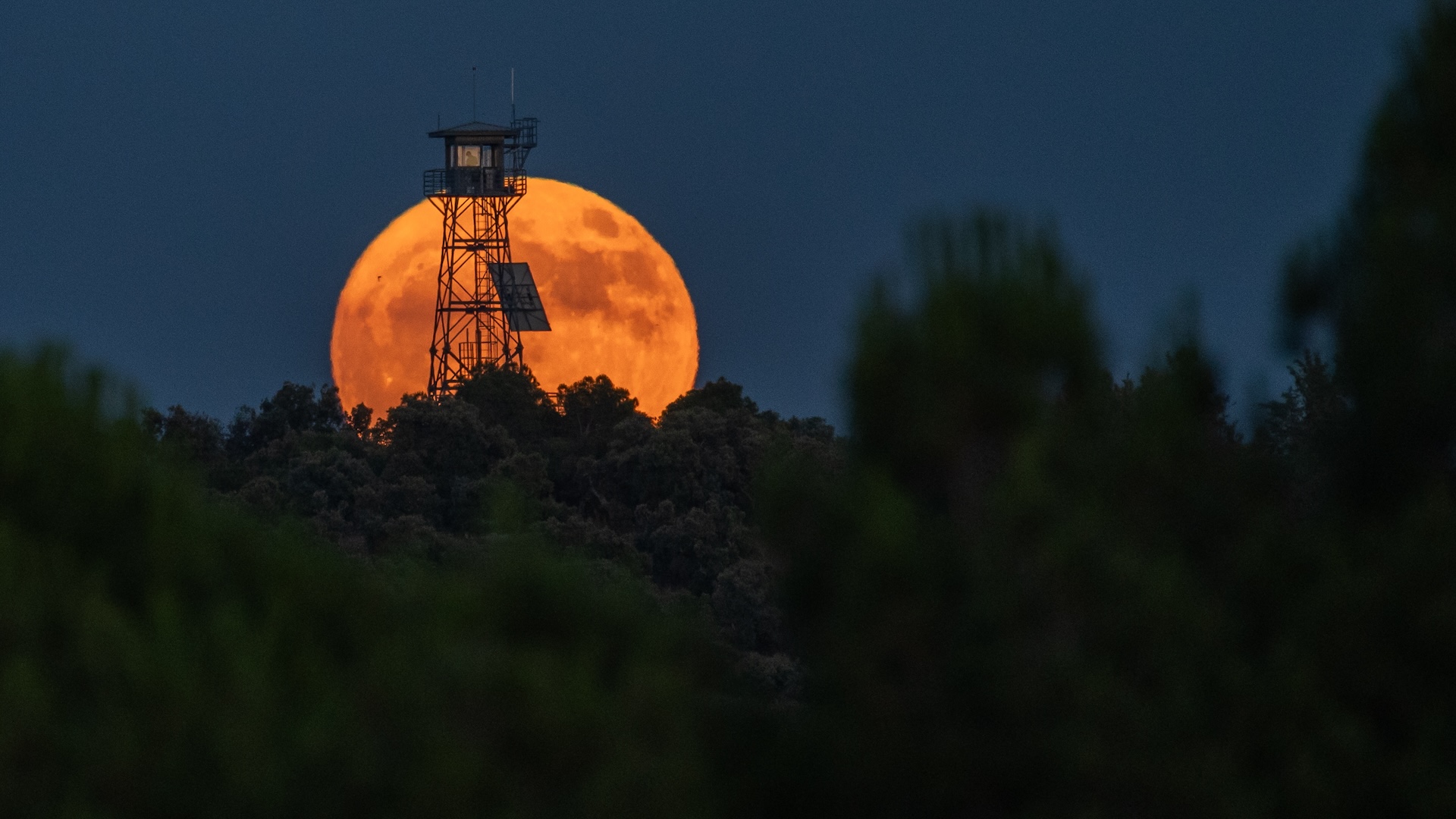 "Luna de Fresa" 2025: La luna llena de junio está