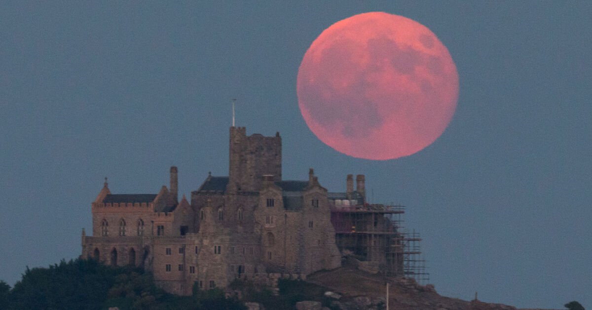 Luna de Fresa: Hora exacta en que aparecerá el fenómeno