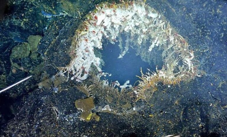 Megavolcán Submarino Prepárese para Liberar Millones de Toneladas de Lava,