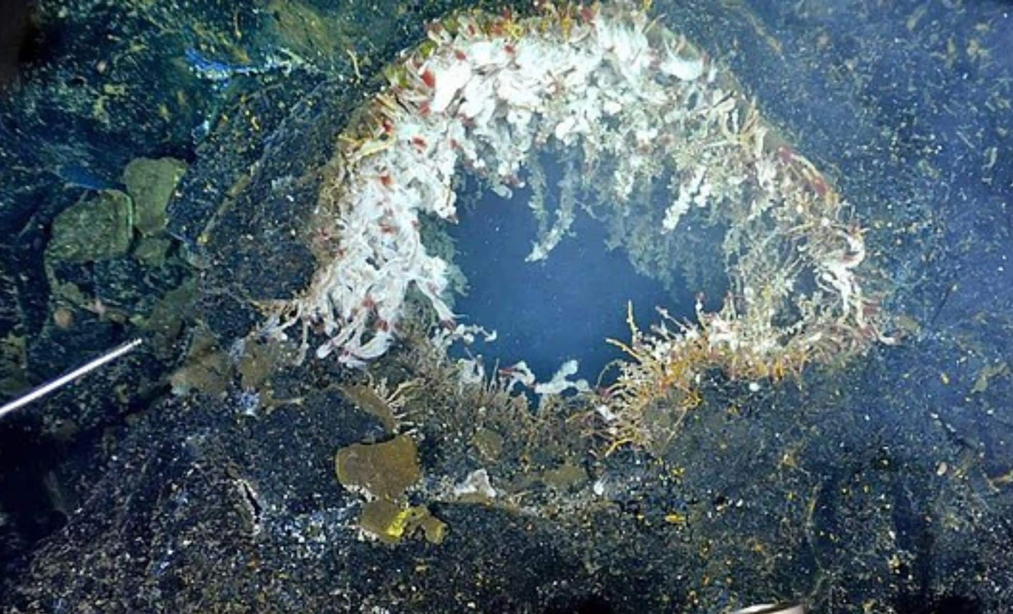 Megavolcán Submarino Prepárese para Liberar Millones de Toneladas de Lava,
