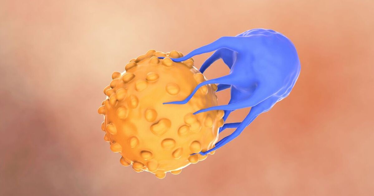 «Nuevas terapias contra el cáncer aumentan la supervivencia un 40%