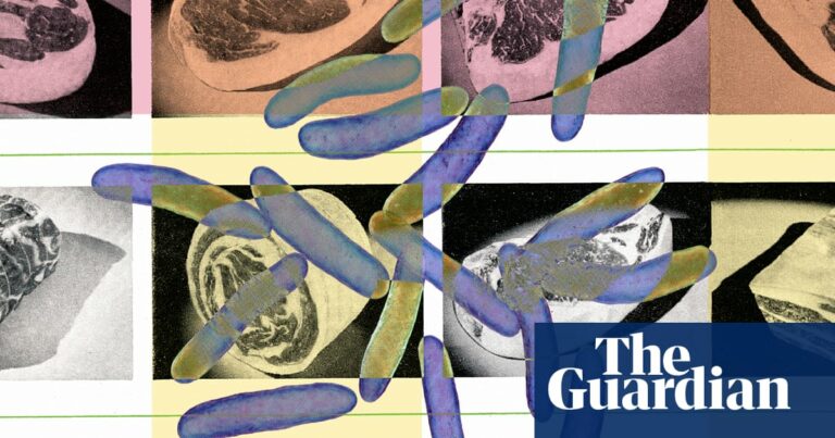 Nueve maneras de evitar la intoxicación alimentaria: consejos de microbiólogos