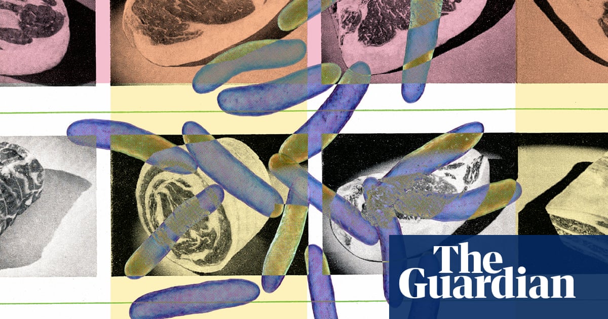 Nueve maneras de evitar la intoxicación alimentaria: consejos de microbiólogos