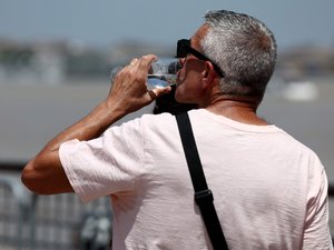 Ola de calor: bebidas alcohólicas, refrescos helados, té de menta...