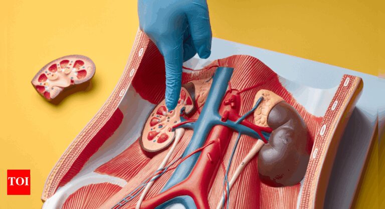 Salud renal: ¿Pueden los niveles altos de ácido úrico provocar