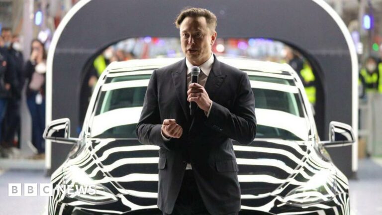 Tesla de Elon Musk 'no está interesada' en producir coches