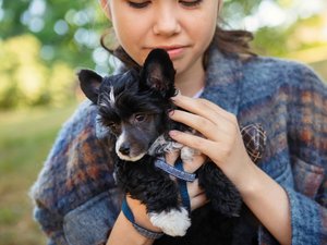 ¿Estás estresado? Mira un video de perros.