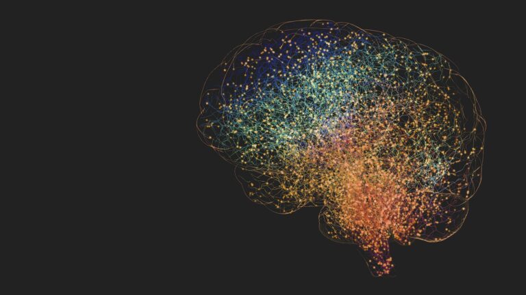 ¿Pueden los adultos generar nuevas células cerebrales?