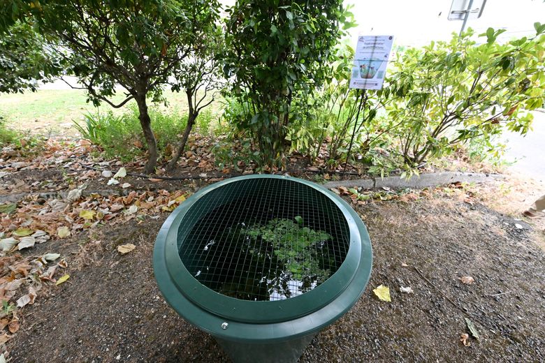 Un poubellarium dans les serres municipales.