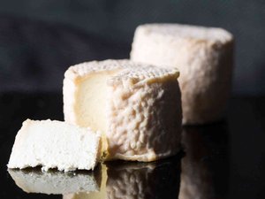 Encefalitis por garrapatas: atención con los quesos de leche cruda…