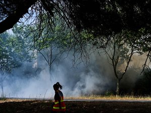 Incendio en Aude: ¿una colilla tirada en la carretera como