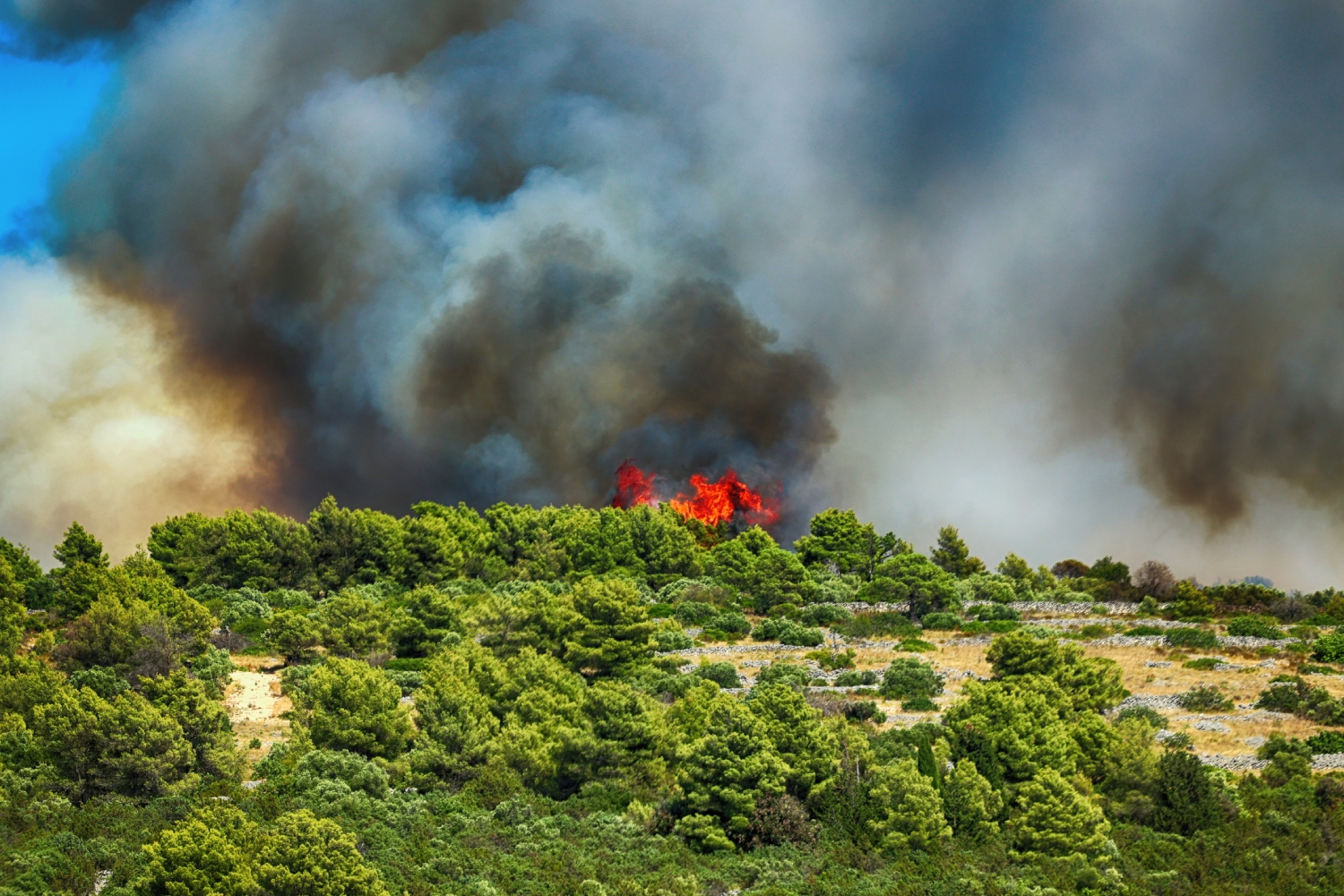 Aquí te mostramos cómo mantenerte informado sobre los incendios en