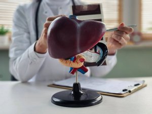 Cánceres de hígado: el número de casos debería duplicarse para