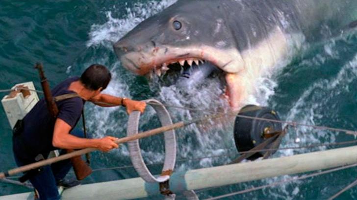 Como « Animales Peligrosos », estas películas de tiburones te