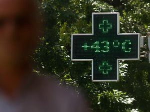 Cuando las olas de calor son prolongadas y recurrentes: 5