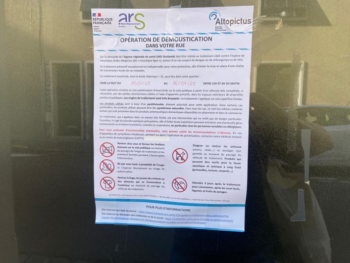 Dengue, chikungunya o zika... Tras un caso sospechoso, se programa