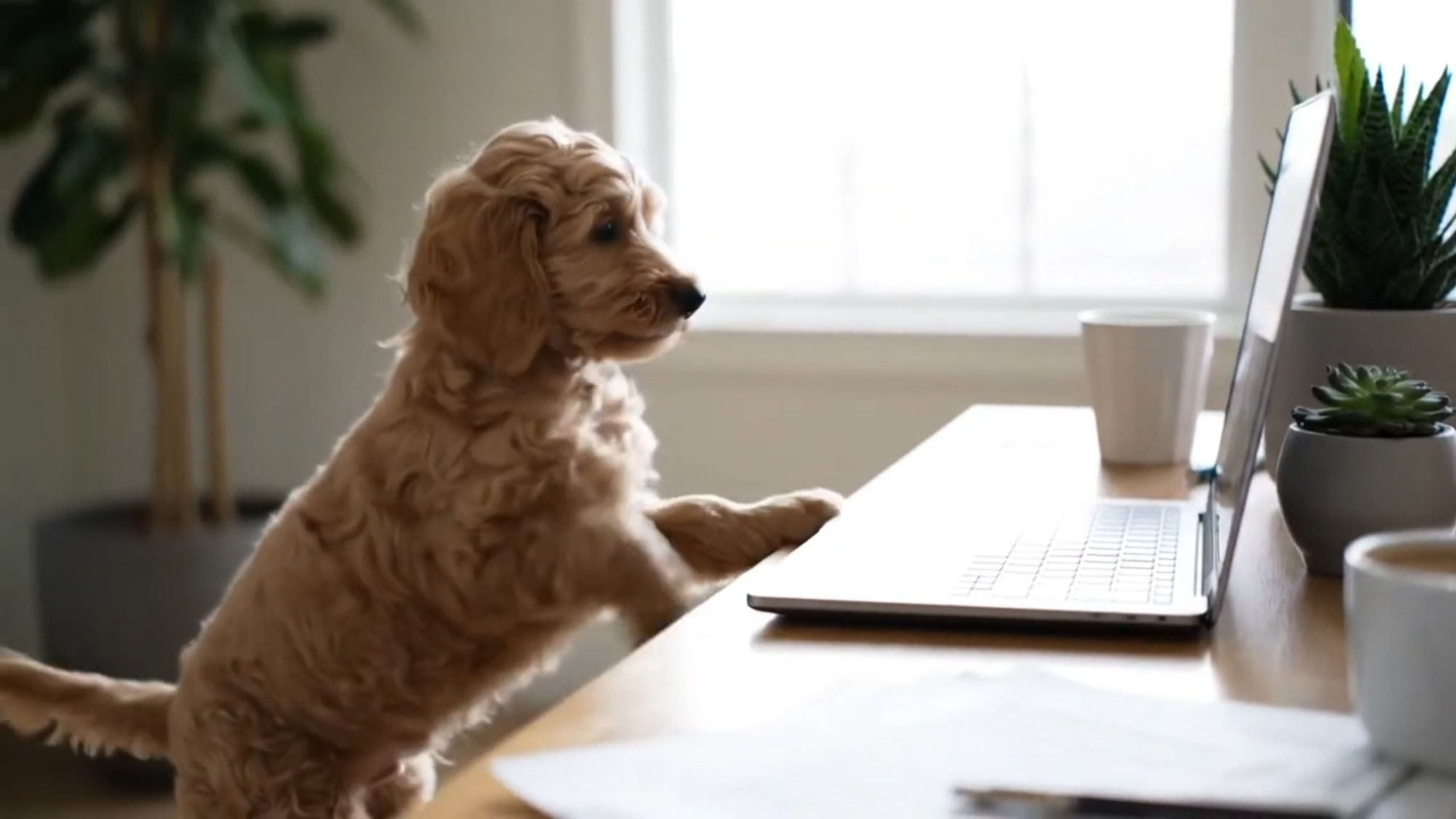 El generador de video por IA de Google, Veo 3,
