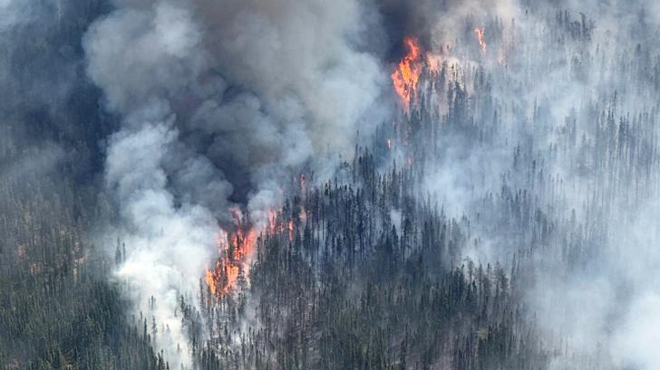 En Canadá, la temporada de incendios forestales ya ha arrasado