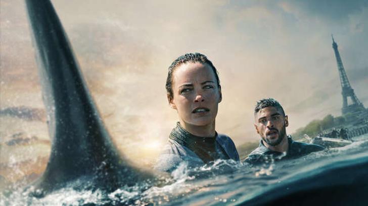 Esta película fue la más vista en streaming en Francia