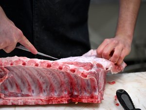 Intoxicación mortal por E. coli en el Aisne: se confirma