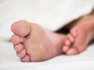 Menos pantallas y más siestas incluso en el trabajo: el