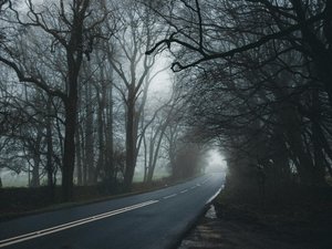 Obsesionado con el Covid, escondía a sus hijos en un