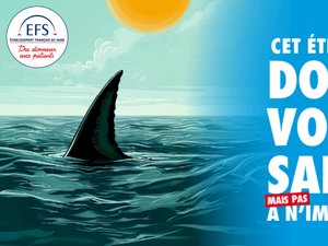 Portet-sur-Garonne. Donación de sangre este martes 8 de julio.