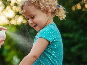 Productos antimosquitos: ¿cómo elegir un producto seguro y eficaz?