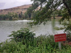Sospecha de cianobacterias en el agua: el embalse de la
