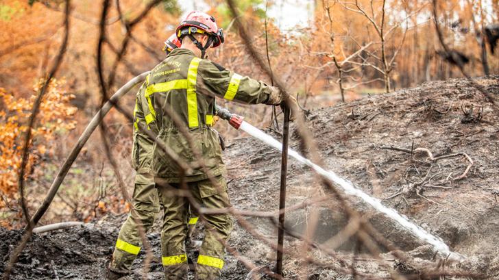 Tres departamentos en alerta máxima frente a los incendios forestales.