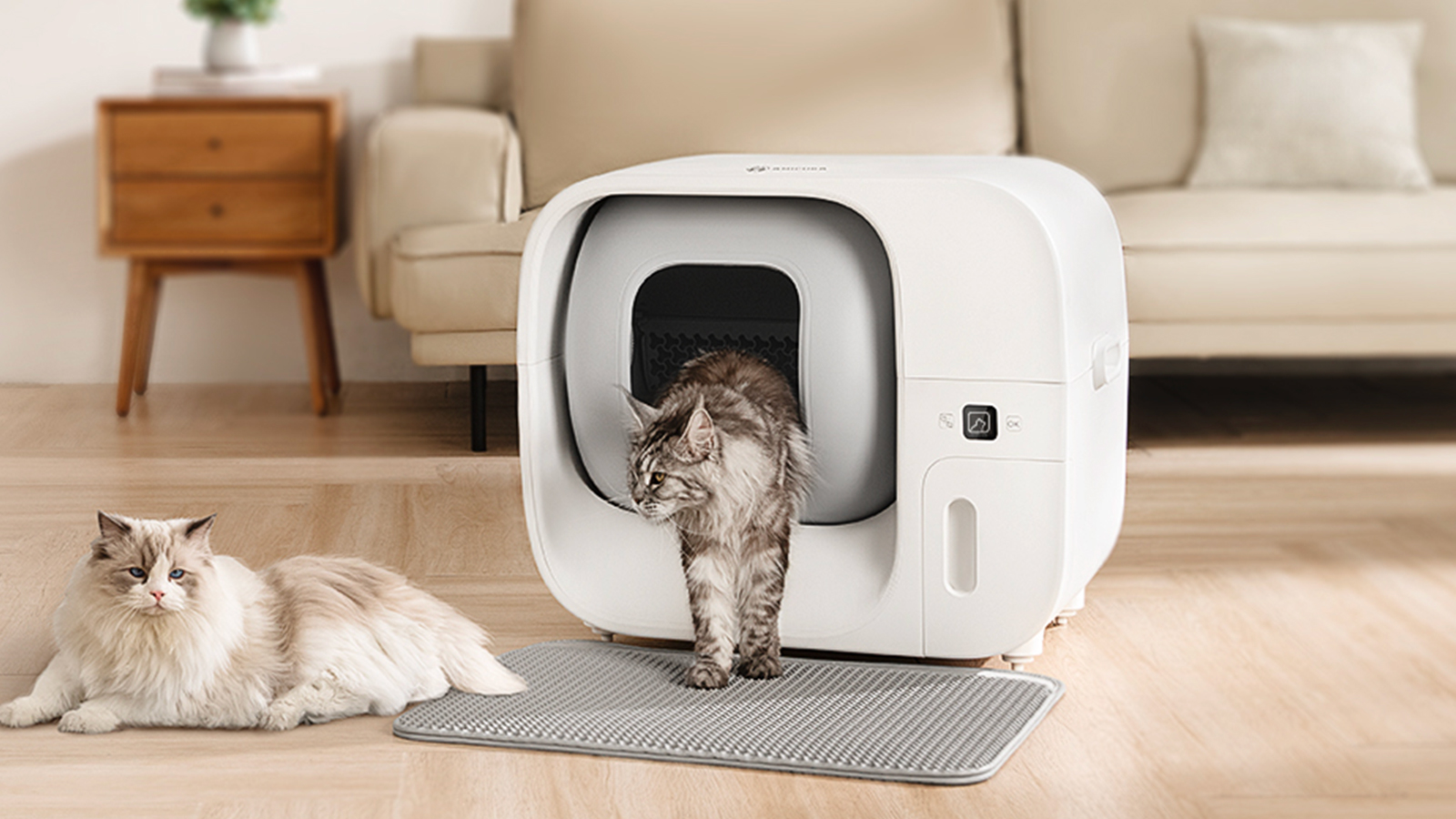Una oferta de Prime Day que no te puedes perder.
