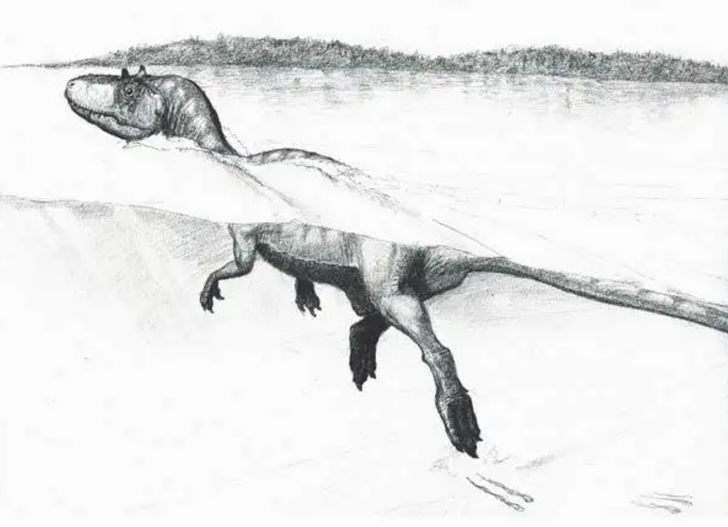 Un dibujo de terópodo nadando en las orillas de un lago en Cameros, España, en el Cretácico.