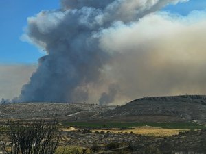 ¿El aire que respiramos es tóxico?