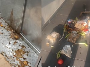 Detritos, pañales usados, orina…: una familia denuncia "el calvario" de