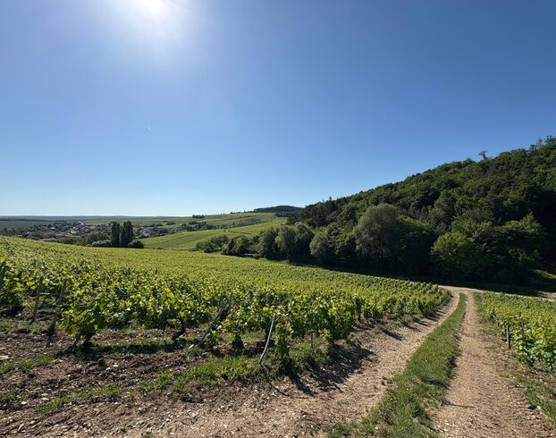 Aube: las vistas de Baroville, una caminata en el corazón